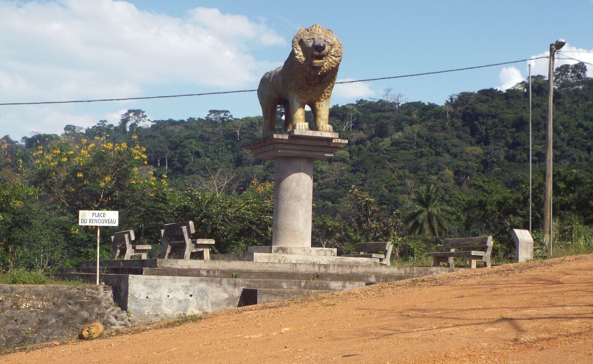 lion